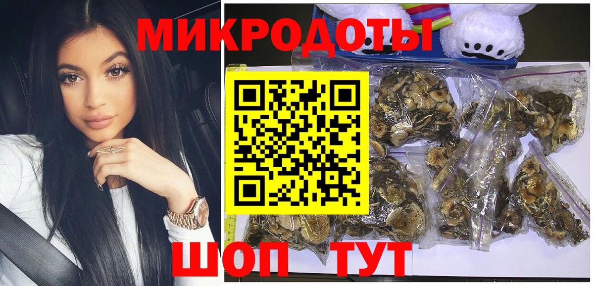 Псилоцибиновые грибы Psilocybe  Вход с VPN  Заринск 